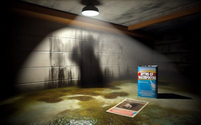 5 Myths About Basement Waterproofing You Need to Forget