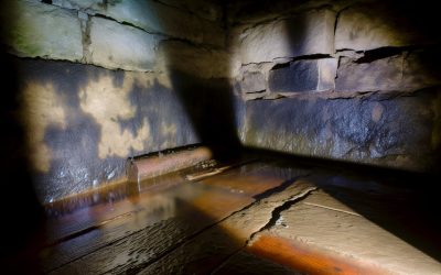 What’s Lurking in Your Basement? Signs You Need Waterproofing Now