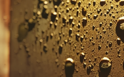 Linking Water Damage Impact to Indoor Air Quality