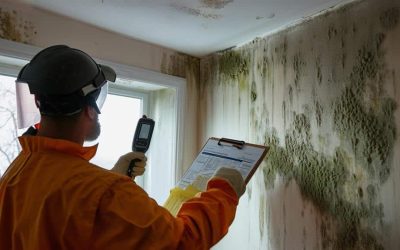How to Conduct a Thorough Mold Damage Assessment