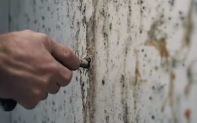 Common Water Damage Restoration Mistakes to Avoid