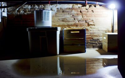 How Maryland’s Unique Climate Affects Your Basement