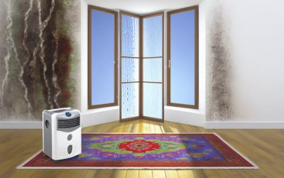 How to Avoid the #1 Mistake After Water Damage