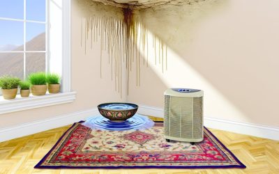 5 Common Water Damage Scenarios and How to Prevent Them