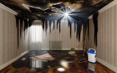 Water Damage Nightmare? Here’s How to Fix It Fast