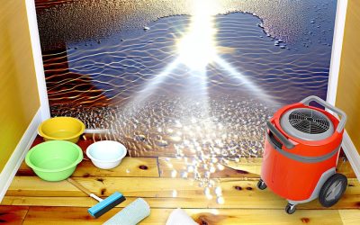 Water Damage Cleanup Hacks No One Told You About