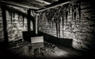 Hidden Dangers of Water Damage That Can Destroy Your Home