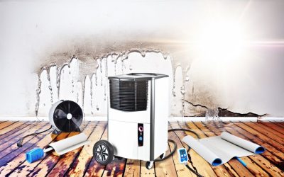 7 Secrets Restoration Pros Use to Save Your Home From Water Damage