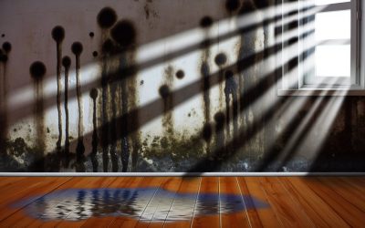 Is Your Home at Risk? Top Water Damage Warning Signs